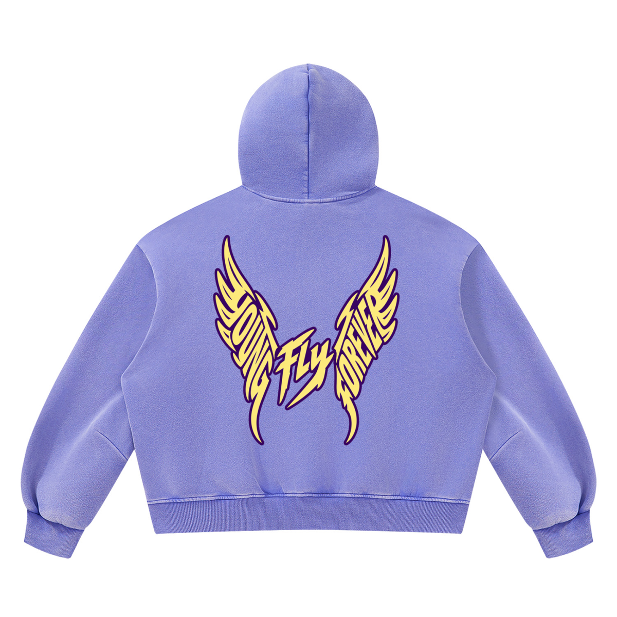 Unisex Vintage Wash Boxy "Fly Members Fleece Hoodie
