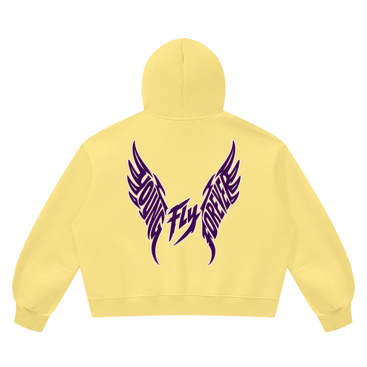 Unisex Vintage Wash Boxy "Fly Members Fleece Hoodie