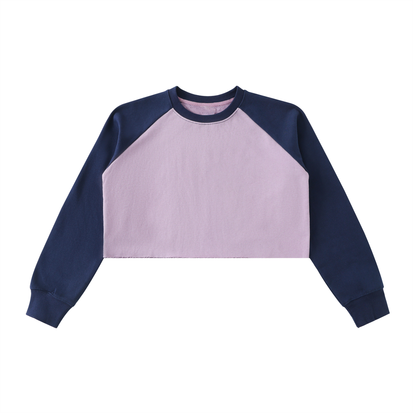 Purple Young Fly Forever Crop Sweatshirt