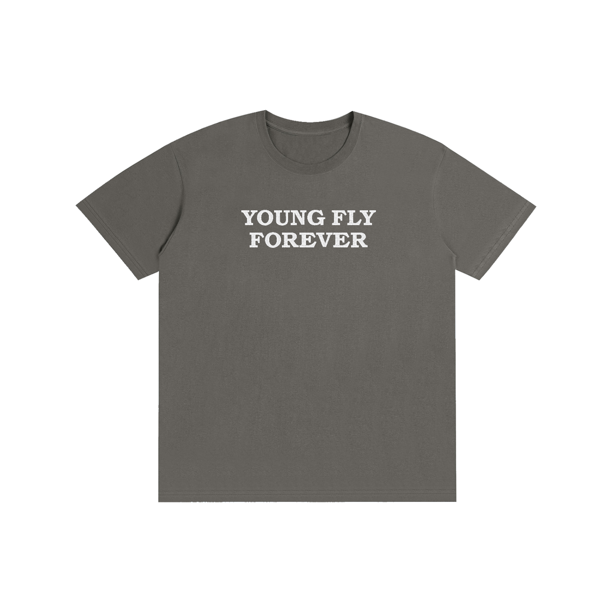 Pure Cotton Unisex “Young Fly Forever” embroidered T-Shirt
